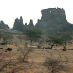 Honey Abundant and Cattle Numerous, Al Bakri