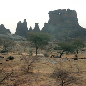 Honey Abundant and Cattle Numerous, Al Bakri