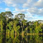Mata Atlântica Biosphere Reserve