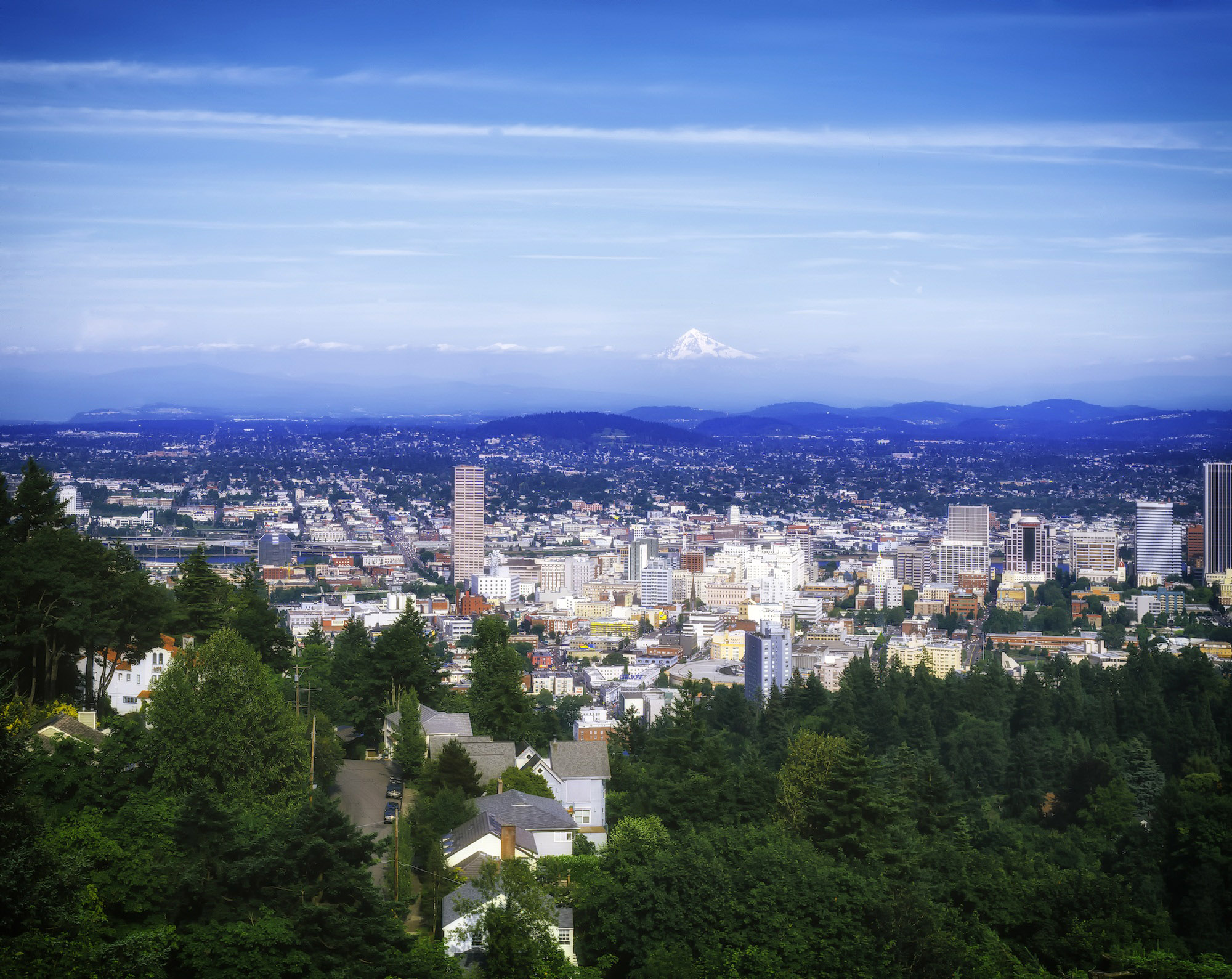 What is missing? | Portland, world's greenest cities
