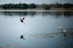 Sahelian Wetlands