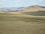 Eastern Mongolian steppe