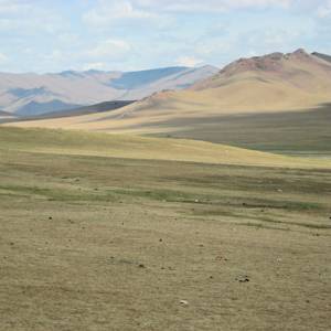 Eastern Mongolian steppe