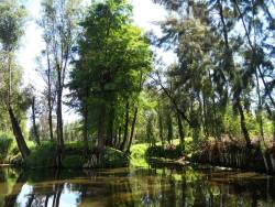 Xochimilco wetlands designated a UNESCO World Heritage Site