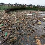 Degradation of Lake Victoria