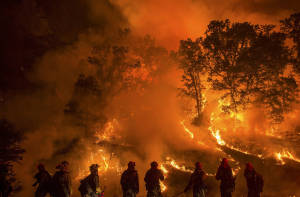 Wildfires growing in intensity