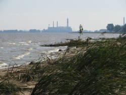 Federal funding allocated to save Saginaw Bay