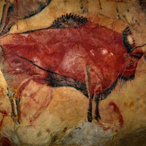 Steppe bison