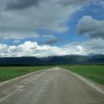 Where Did All The Life Go?