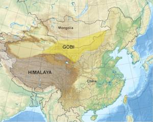 The Great Green Wall