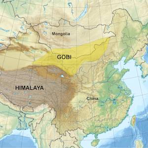 The Great Green Wall