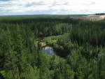 East-Siberian Taiga