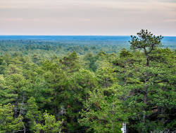 Pinelands Protection Act