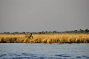 Central Kalahari Game Reserve 