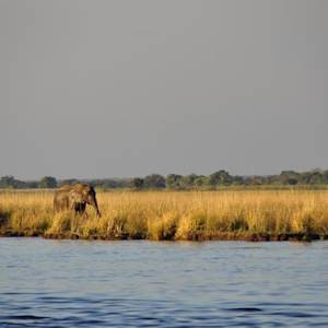 Central Kalahari Game Reserve