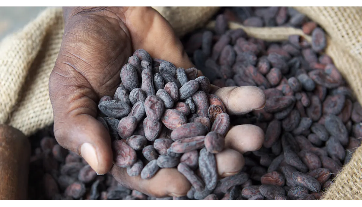 COCOA heading