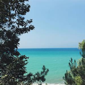 Gone Are The Sand Tulips