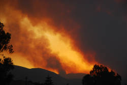 Human-Initiated Fires Plague Mediterranean Forests