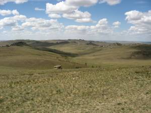 The Daurian steppe