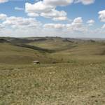 The Daurian steppe