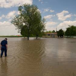 Flooding along the Upper Mississippi decreases ecological diversity