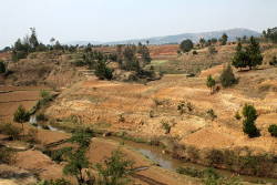 Climate change causes devastating famine in Madagascar