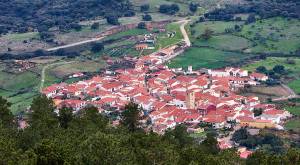 Fire leads to wildlife loss