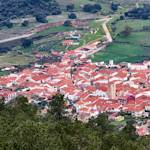 Fire leads to wildlife loss