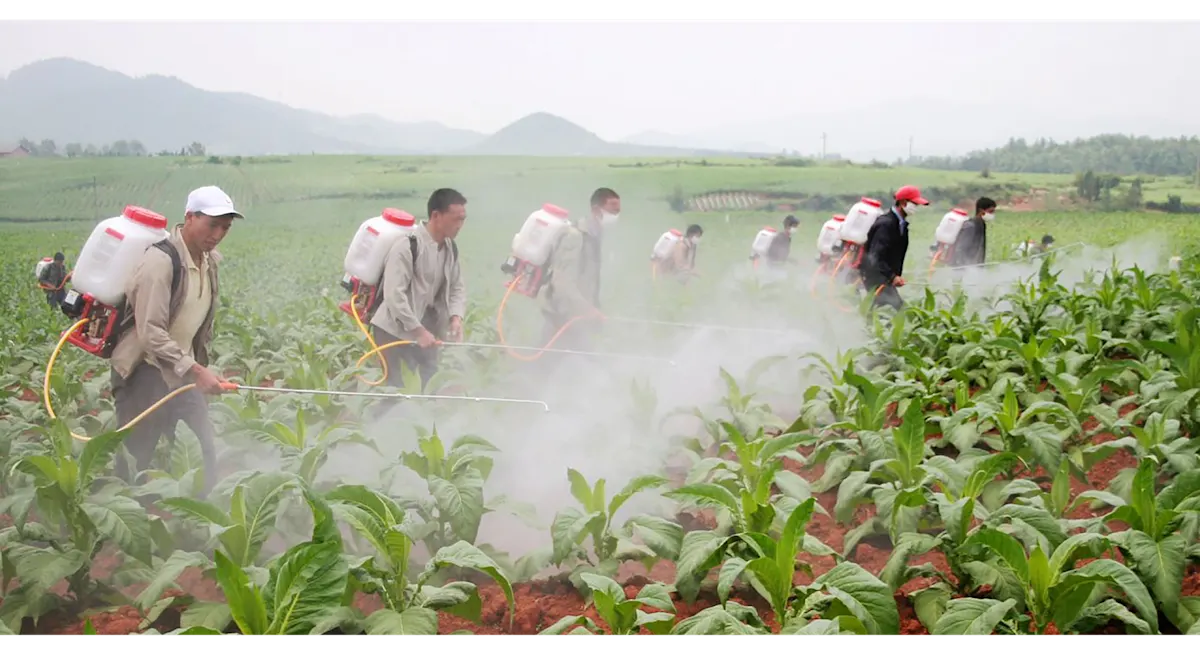 Avoid Pesticide Header Image