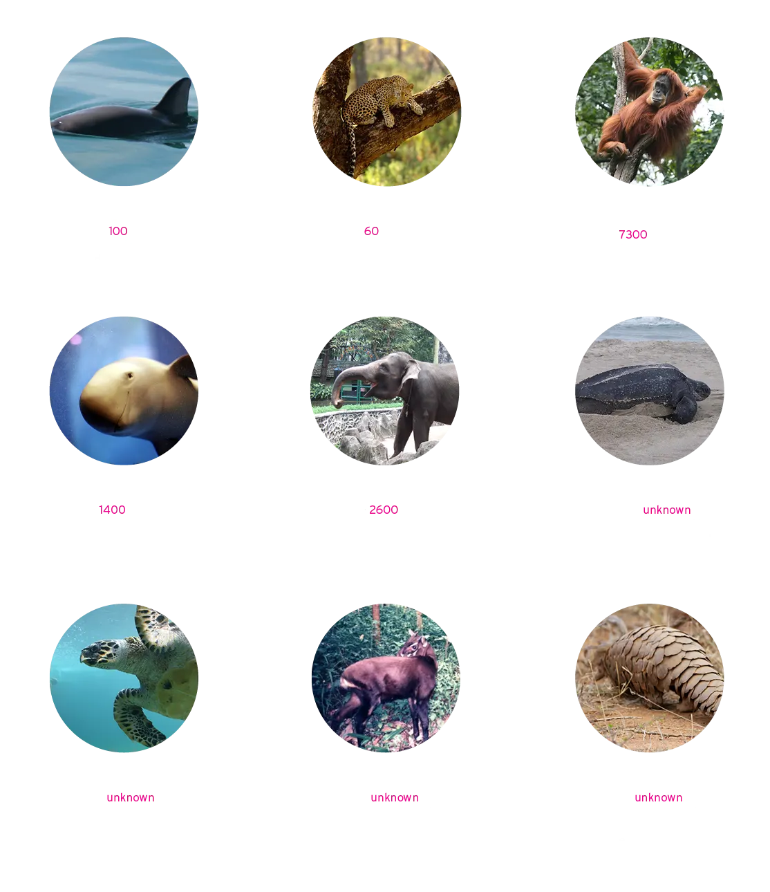 WYCD endangered species - critically endangered species bubble graphic 2/2