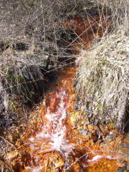 Acid mine drainage in Ohio River tributaries kills biodiversity
