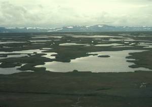 Yukon Delta National Wildlife Refuge