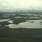 Yukon Delta National Wildlife Refuge