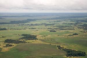 Llanos De Moxos