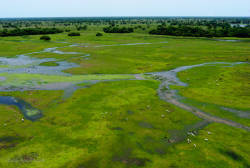 The natural beauty of the Pantanal