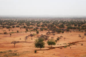West African Sahel