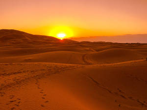 Sahara Encroaching