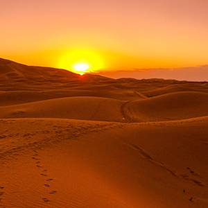 Sahara Encroaching
