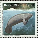 Amazonian manatee