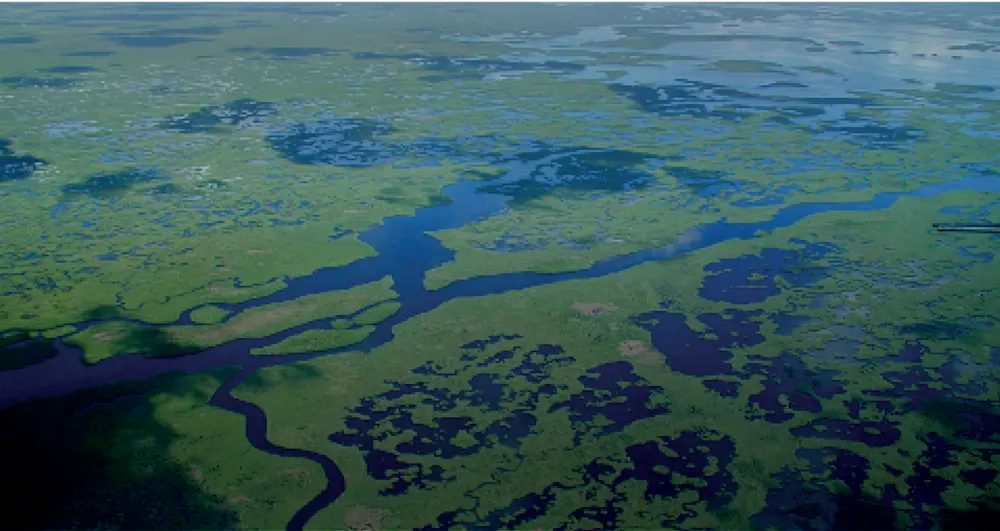 Greenprint feature image wetlands everglades