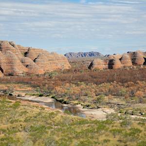Australian Tropical Savanna