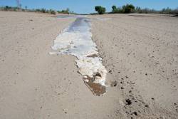 The Gila now "an ephemeral trickle"