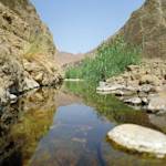 Wadi Wurayah Biosphere Reserve