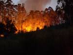 Leiria Pine Forest fire