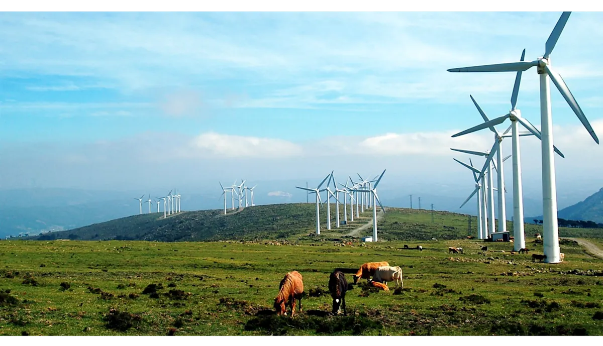wind farm with horses grazing