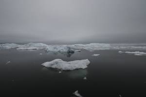 Arctic Heating Up Nearly 4 Times Faster Than the Earth As A Whole
