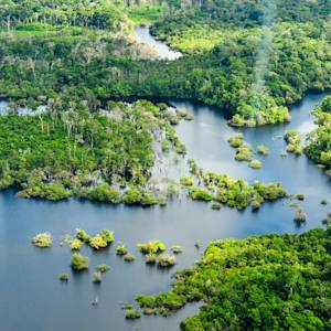 The Largest Ever Tropical Reforestation