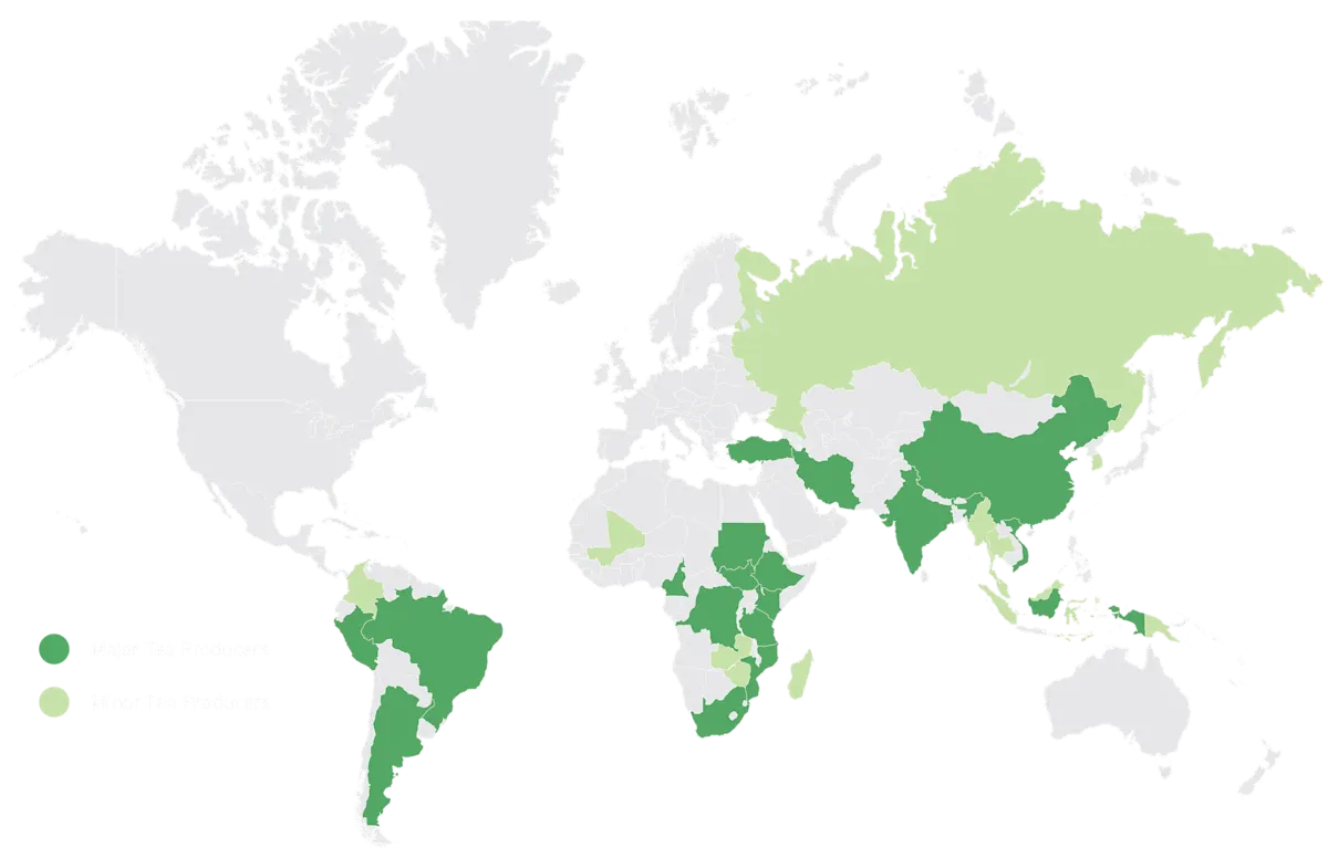 TEA global production map