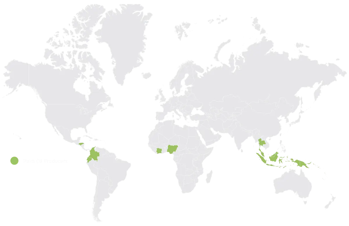 PALM OIL global production map