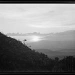 Abundance, Theodore Roosevelt